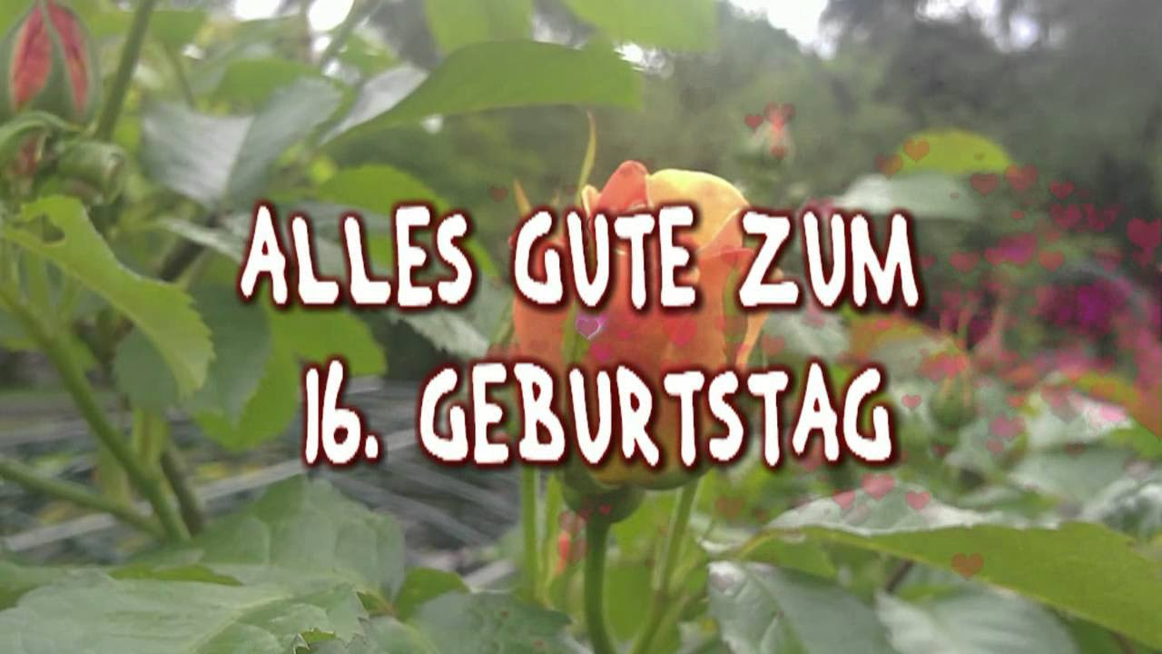 coole geburtstagssprüche zum 19