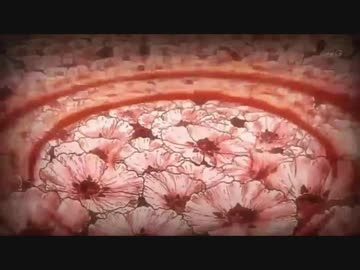 最高進撃の巨人 アニメ Ed アニメ画像