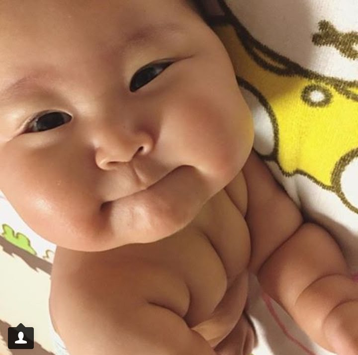 最新のhd世界 一 可愛い 赤ちゃん 日本 人 最高の動物画像