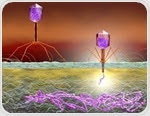 Using Phage Display for Antibody Discovery and Development