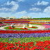 Le Dubaï Miracle Garden