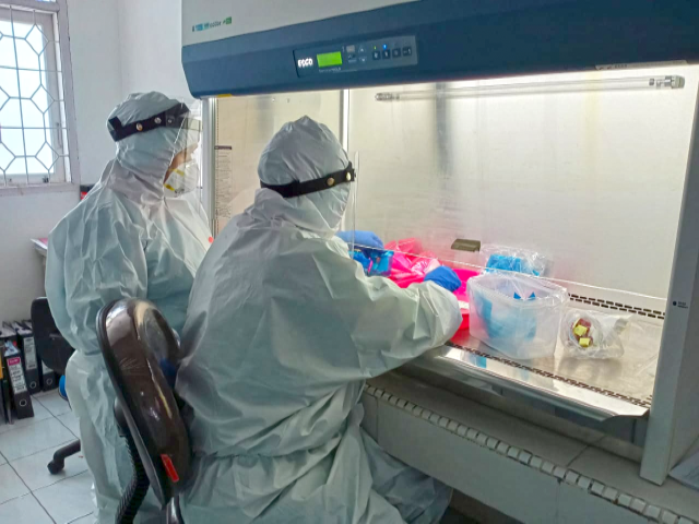 Pada selasa 13 juli, kenaikan jumlah harian kasus virus corona mencapai 47,899. Six Indonesian Disease Investigation Centres Help Accelerate Covid 19 Testing Fao In Emergencies