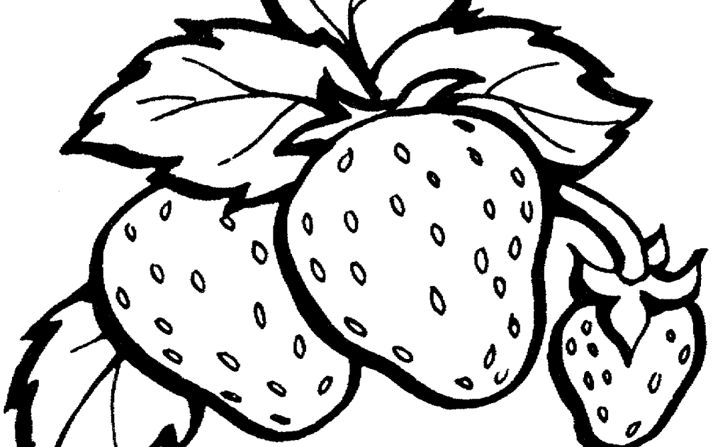 20 Koleski Terbaru Sketsa Strawberry The Toosh