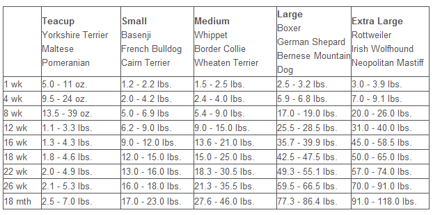 French bull dog club of america. French Bulldog Puppy Growth Chart Akc French Bulldog Puppies For Sale Akc French Bulldog Breeders Oregon French Bulldogs