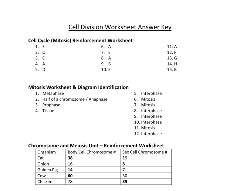 Meiosis Gizmo Answer Key