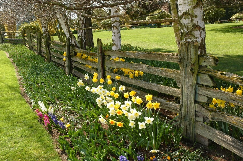 That's why you can use for more than five years. 28 Split Rail Fence Ideas For Acreages And Private Homes Wooden World Woodworks
