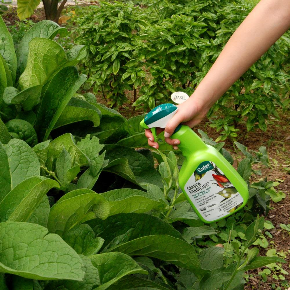 Maybe you would like to learn more about one of these? Safer Brand 32 Fl Oz Natural Fungicide In The Moss Algae Fungus Control Department At Lowes Com
