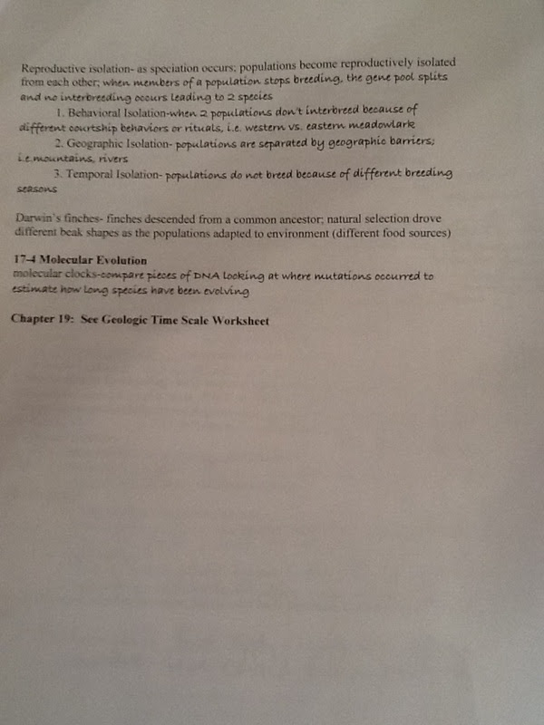 Worksheet Dna Mutation Simulation Answer Key Biology ...