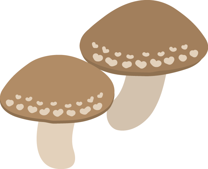美しい花の画像 ベスト50 しいたけ イラスト かわいい