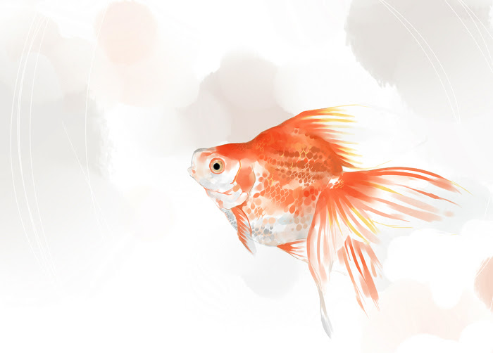 トップコレクション 金魚 イラスト 綺麗 Ituirasuto