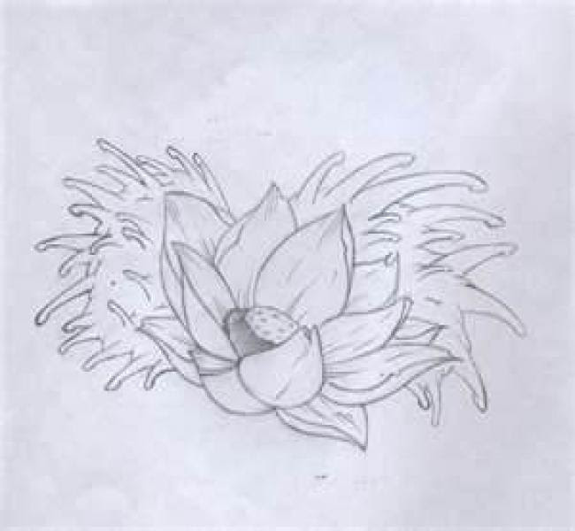 Terkeren 30 Gambar Tato  Bunga  Sakura  Gambar Tato  Keren