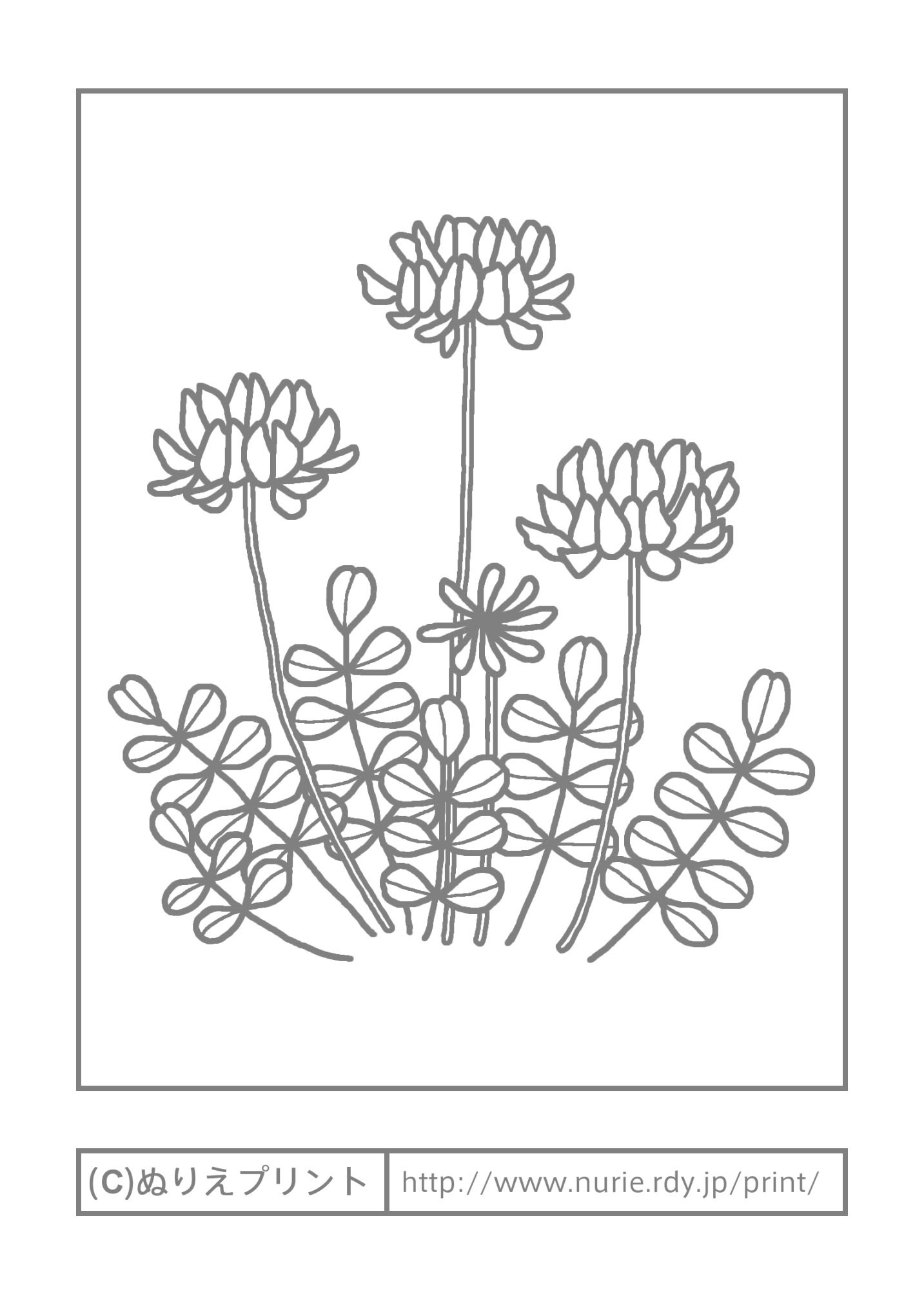 50 素晴らしい塗り絵 花 春 最高の花の画像