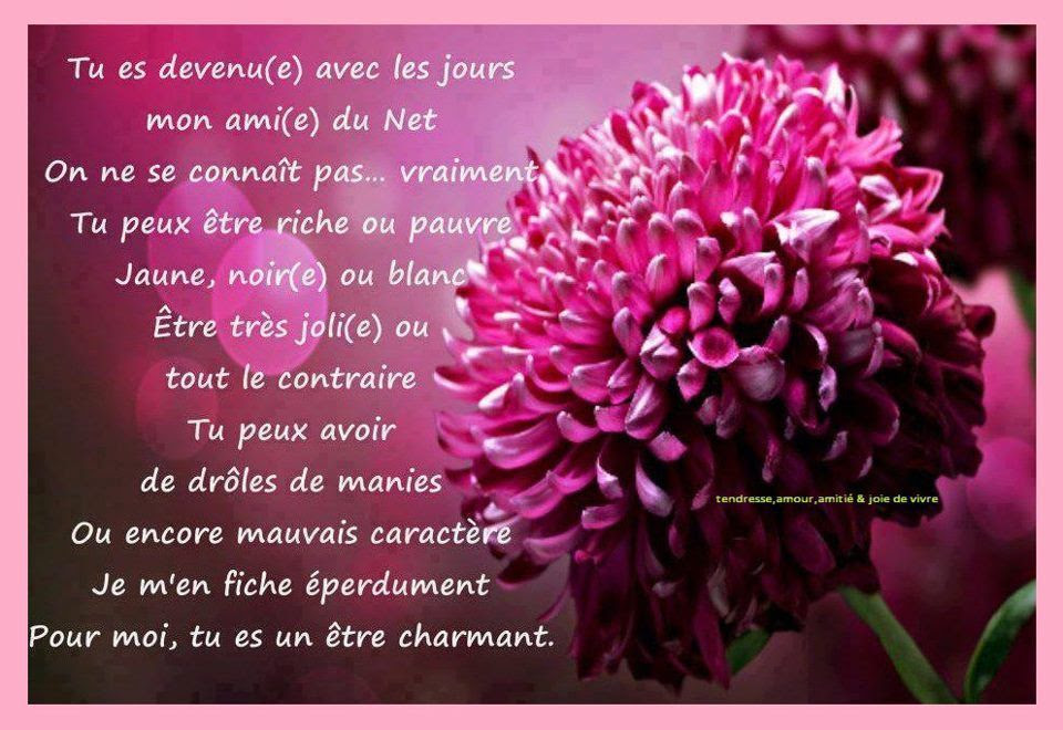 Citation Joie De Vivre Amour Best Citations D Amour