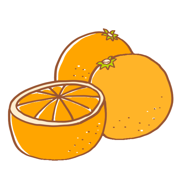 美しい花の画像 上かわいい オレンジ みかん イラスト