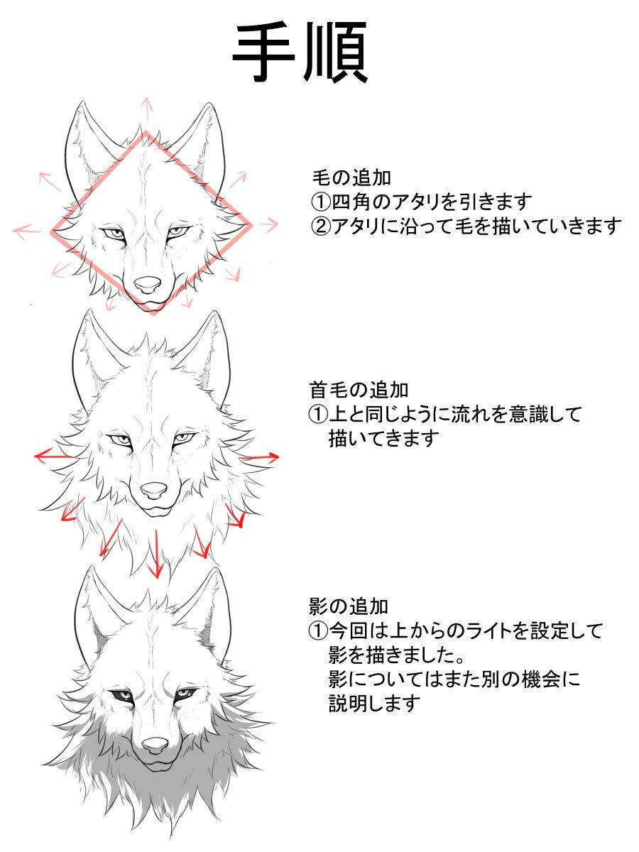 描き方 狼 威嚇 イラスト Apixtursaepnozv