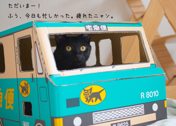 Kasword クロネコ ヤマト 猫 画像