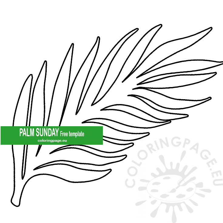 I'm just jumping on to share a free printable houseplant watering schedule for you! Palm Branch Template Palm Sunday Coloring Page