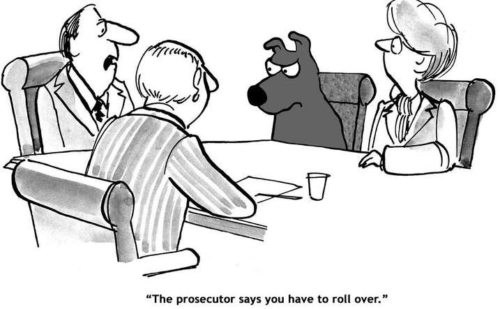 A carton showing a table meeting. A dog is seated at the table and the lawyer says to the dog, "The prosecutor syas you have to roll over."