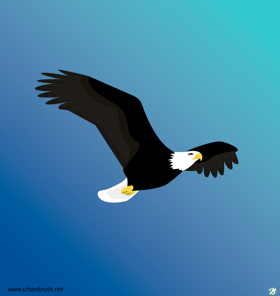 ベストコレクション 鷲 イラスト かっこいい 鷲 イラスト かっこいい