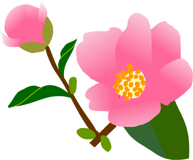 最も気に入った 椿の花 イラスト イラスト素材