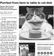 New ads for Merrick Purrfect Bistro feature a feline food critic.