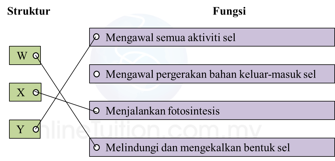 Soalan Matematik Tingkatan 1 Subjektif - Contoh YY