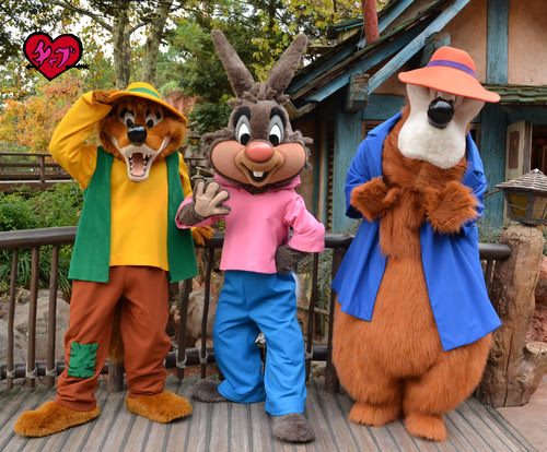 Hd限定ディズニー うさぎ どん ただのディズニー画像