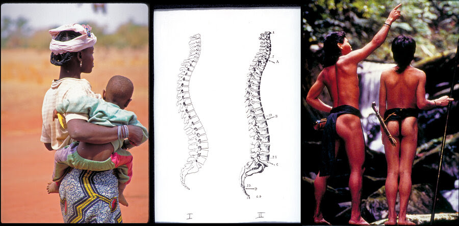 Primal posture: Ubong tribesmen in Borneo (right) display the perfect J-shaped spines. A woman in Burkina Faso (left) holds her baby so that his spine stays straight. The center image shows the S-shaped spine drawn in a modern anatomy book (Fig. I) and the J-shaped spine (Fig. II) drawn in the 1897 anatomy book Traite d'Anatomie Humaine.