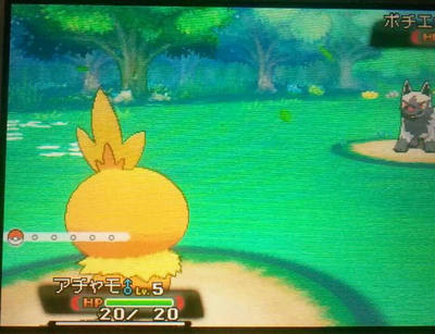 ラブリーポケモン Oras レックウザ 色 違い ディズニー画像のすべて