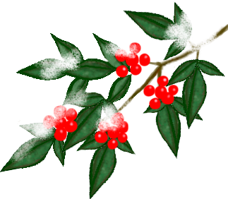 すべての美しい花の画像 元の南天 花 イラスト