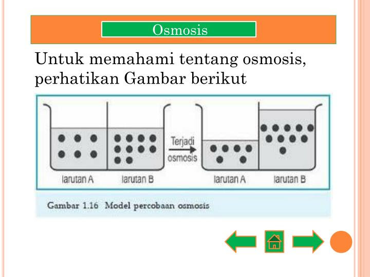 Contoh Gambar Difusi - Shoe Susu