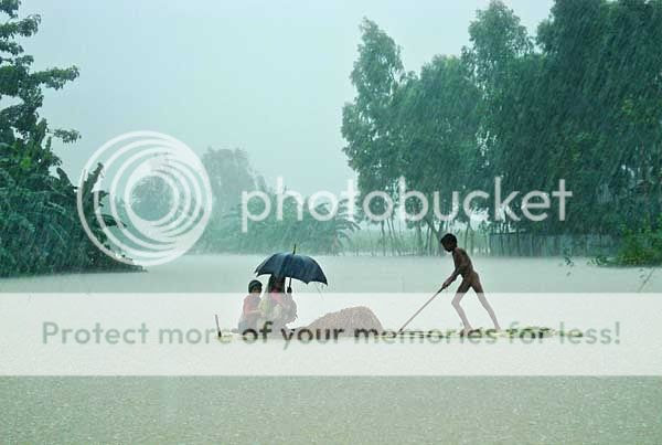  photo Rain6.jpg