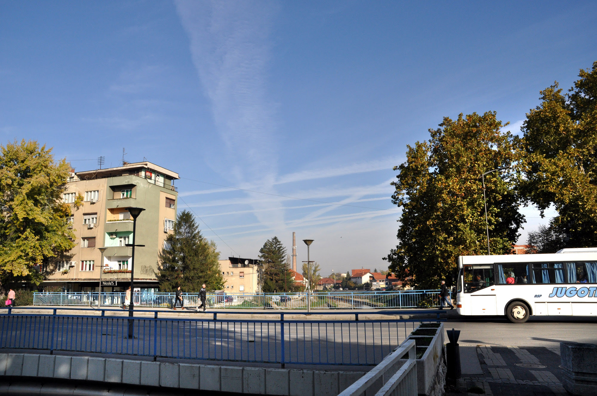 DSC_2249
