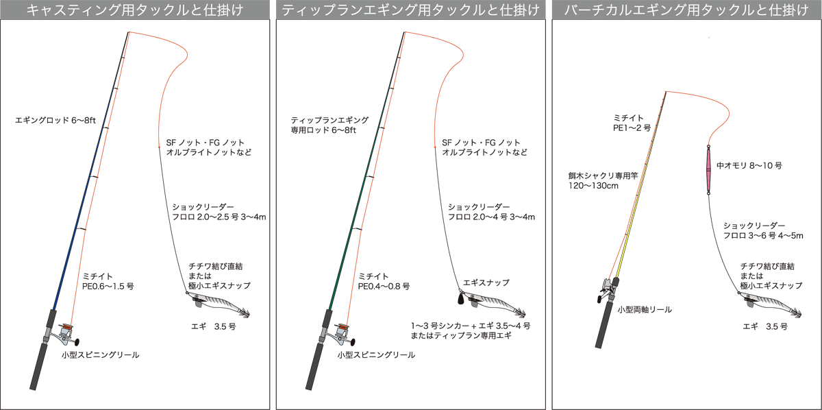 最新船 アオリイカ 魚のすべて