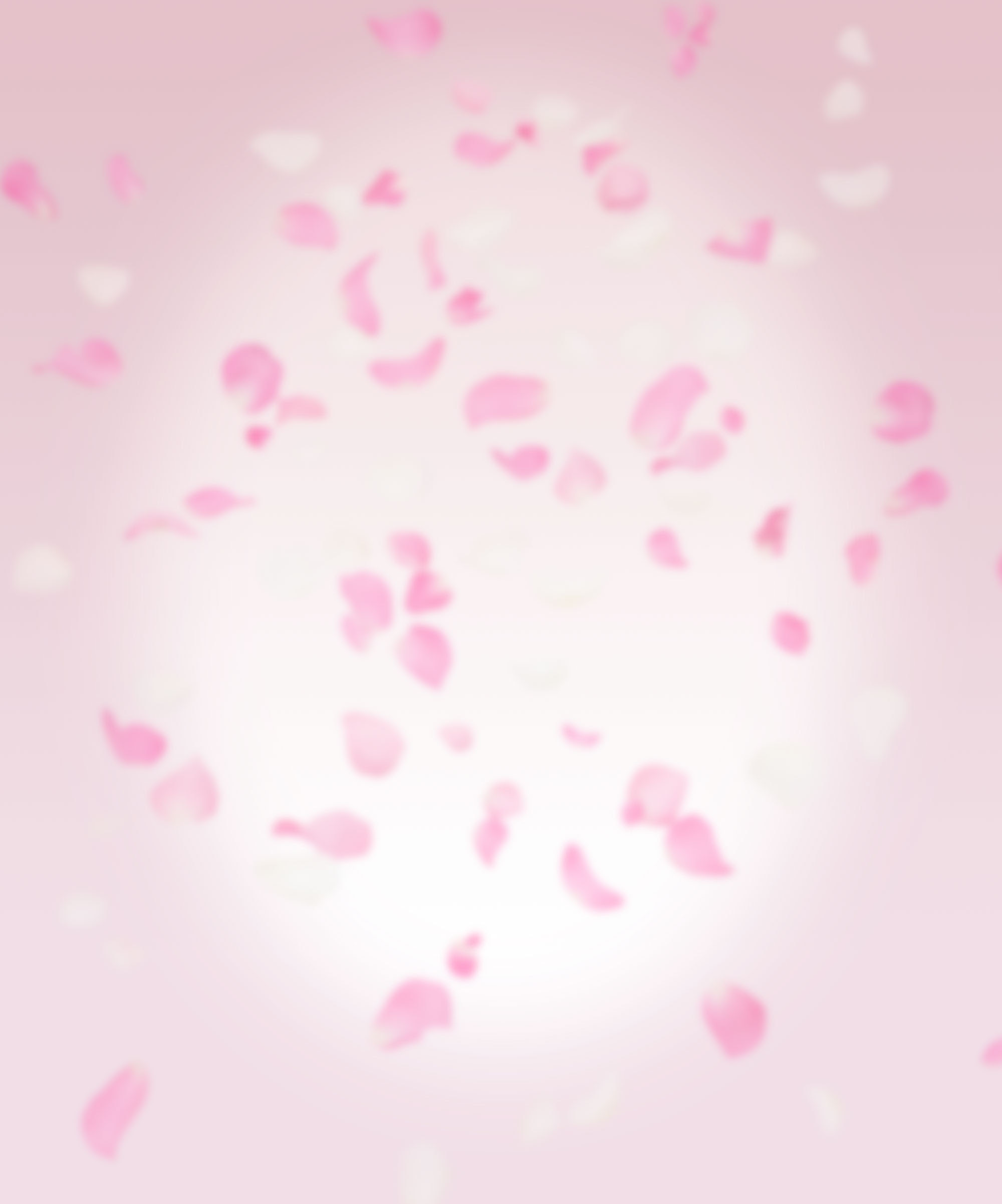 ラブリーiphone 桜吹雪 壁紙 すべての美しい花の画像