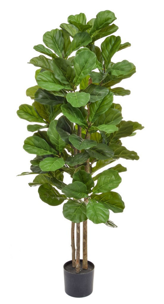 The real plants can be a bit finicky, so i'm sharing real life now that i've tried every type of fake fig trees from real to faux and brand after brand, today i'm sharing the best faux fiddle leaf fig trees and how to make. Faux Fiddle Leaf Fig Tree 180cm Artificial Green