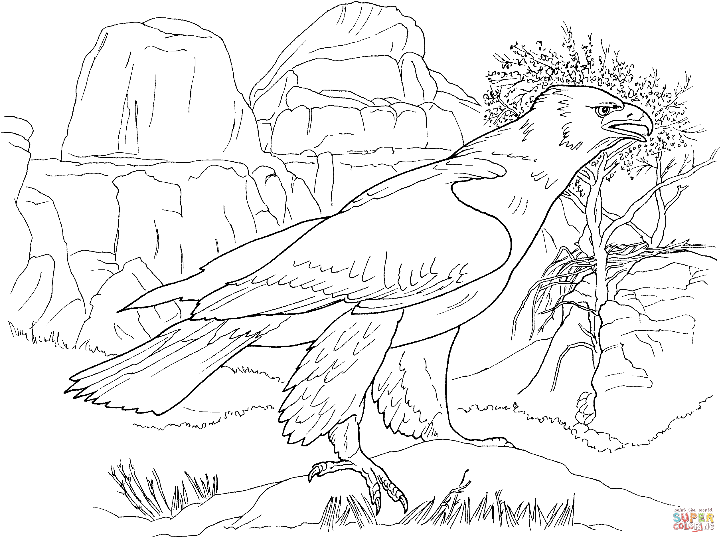 Harpy eagle the harpy eagle is one of the largest eagles in the world. Realistic Golden Eagle Coloring Page Free Printable Coloring Pages