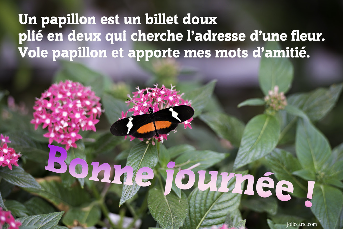 Image De Citation Image Citation Bon Vendredi