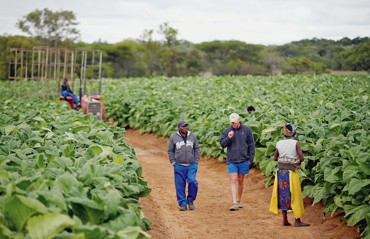 Le Zimbabwe à l’heure du renouveau