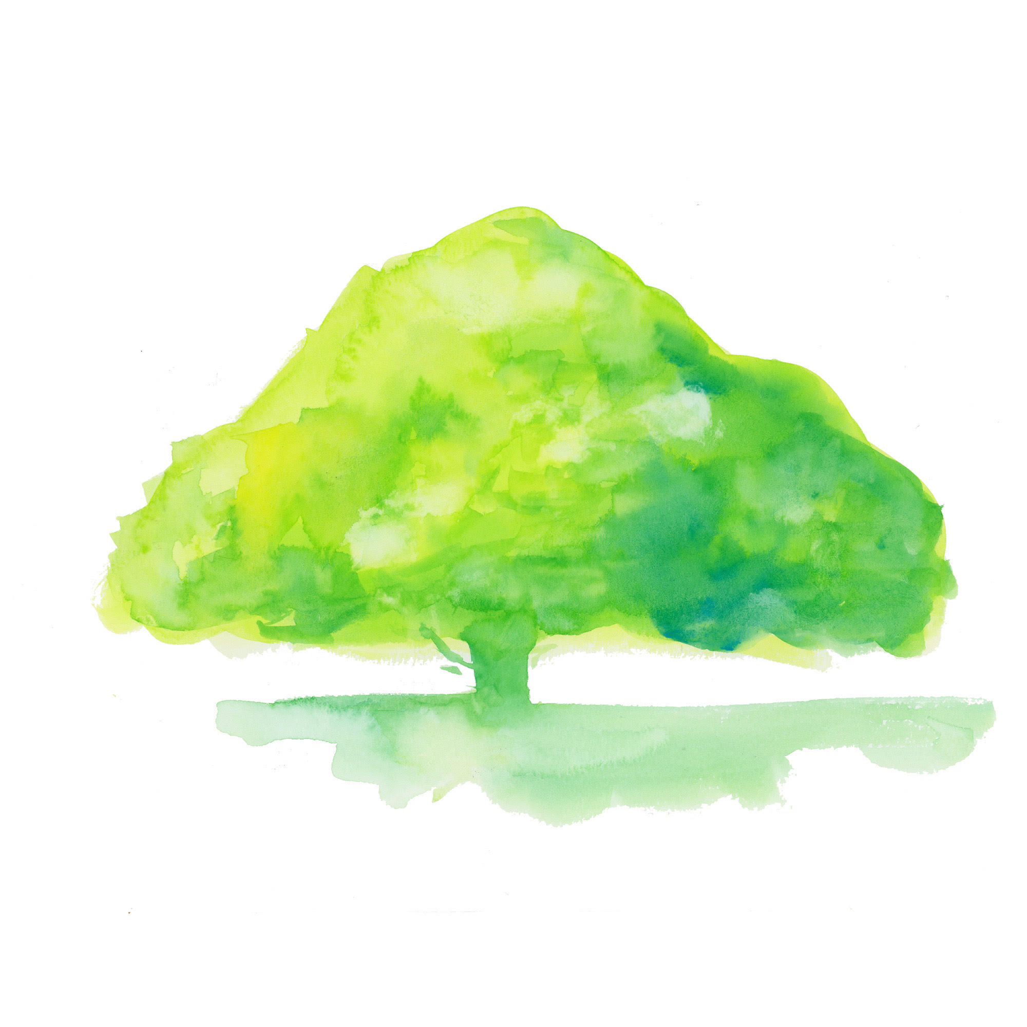 水彩画 草原 イラスト フリー 1301 Combrojoscesb