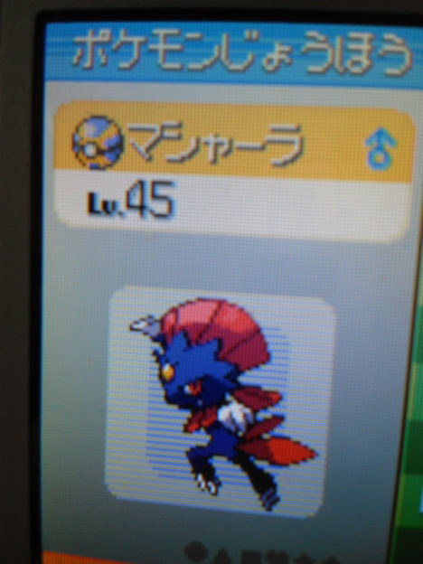 最高 ポケモン プラチナ ニューラ 100 で最高の画像