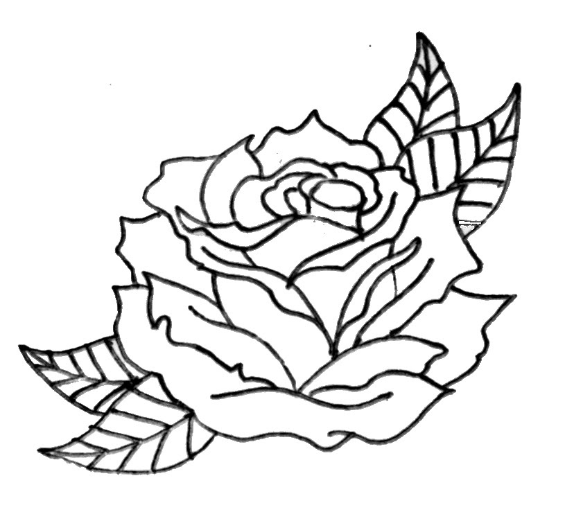 rose outlines of flowers  the best original gemstone
