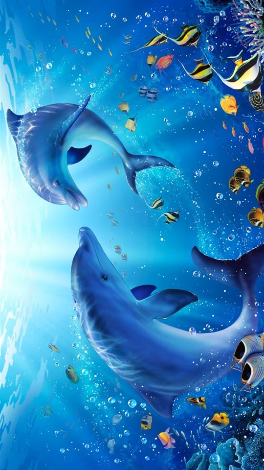 ディズニー画像ランド ベスト50 壁紙 イルカ 画像
