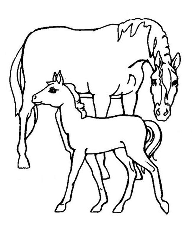 Check spelling or type a new query. Free Spirit Horse Coloring Pages Download Free Spirit Horse Coloring Pages Png Images Free Cliparts On Clipart Library