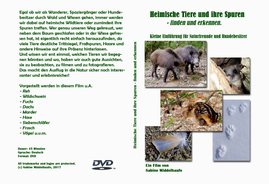 Freie kommerzielle nutzung keine leichte und schwere rätsel für kinder und erwachsene. Trittsiegel Und Andere Tierspuren Reh Sau Hase