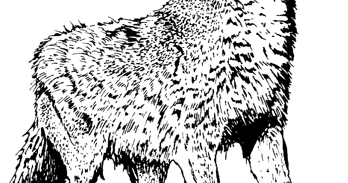 Detailed Wolf Pack Coloring Pages - Make Wonderful World With Coloring