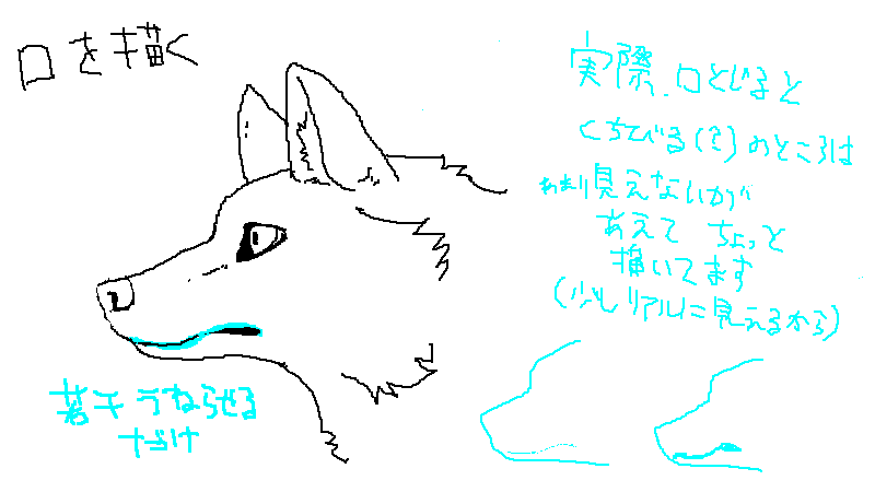 選択した画像 かっこいい 狼 イラスト 描き 方 簡単 かっこいい 狼 イラスト 描き 方 簡単 Ikiikukowealgn
