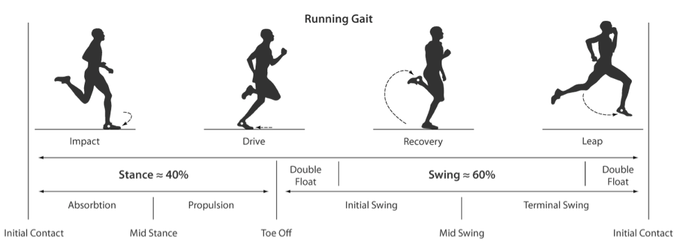 Of course, a hamstring injury is not unique to yoga, though the cause and treatment of this particular problem often is. Hamstring Strain Rehabilitation