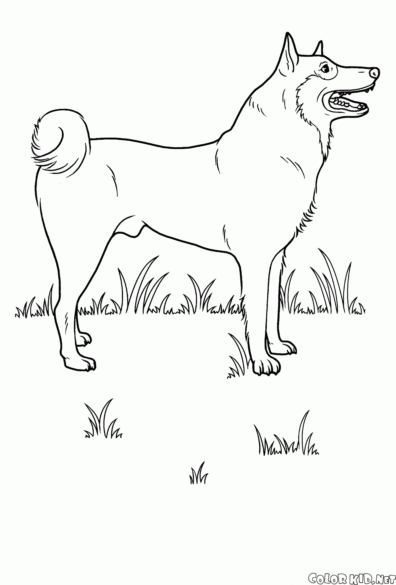 ダウンロードおよび印刷可能なぬり絵 ほとんどのダウンロード 犬 ぬりえ