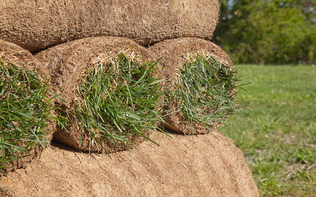 Maybe you would like to learn more about one of these? Soil Sod